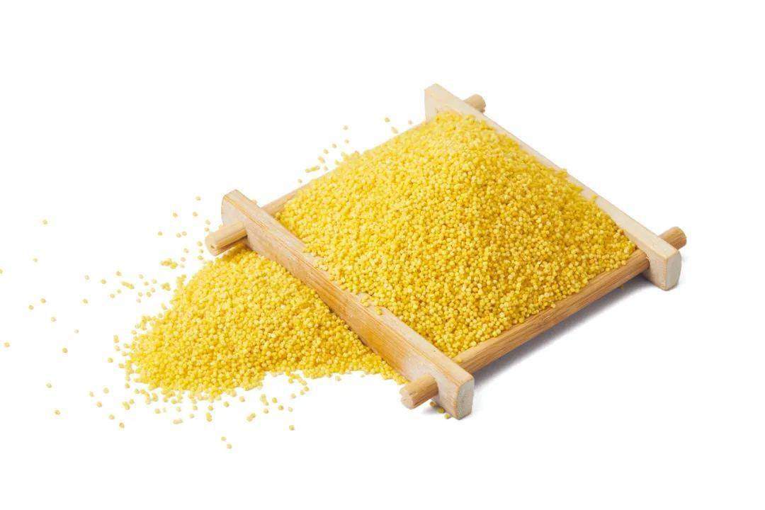 中央媒体关注山西丨武乡:小米"闯"出新天地_新华社_郭晋_农产品