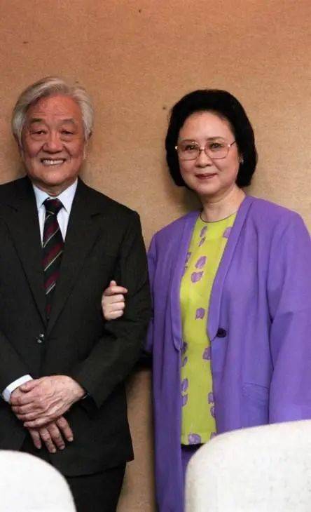 本想打掉却发现是龙凤胎,赫赫有名的女儿差点就被打掉了_袁行恕_琼瑶