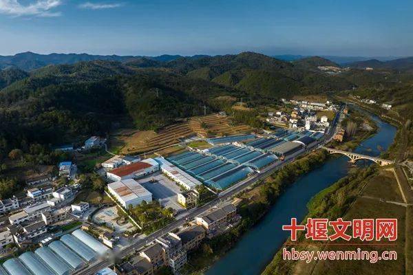 郧西县观音镇龙桥村:天河画廊 "双富"龙桥_文明_建设_乡村