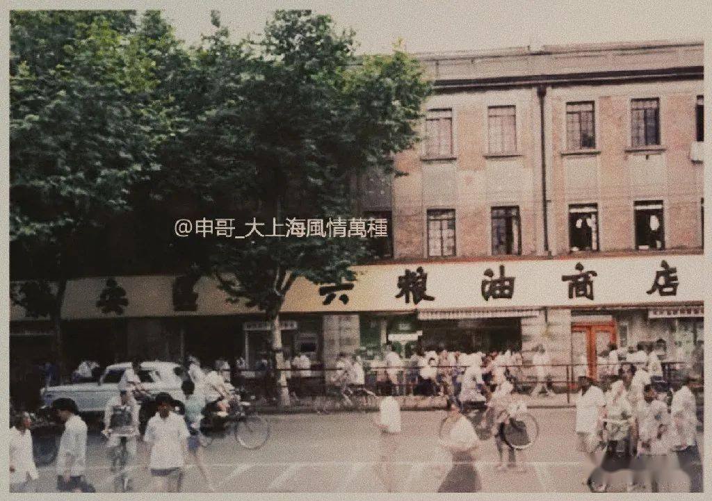 成为许多老上海人的回忆上世纪60年代上海的粮店还常常供应山芋(红薯)