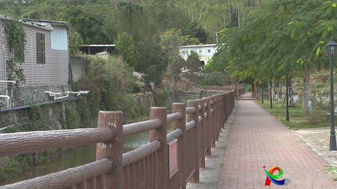 建饶镇获评"2023年广东省森林城镇"称号_建设_生态_全镇