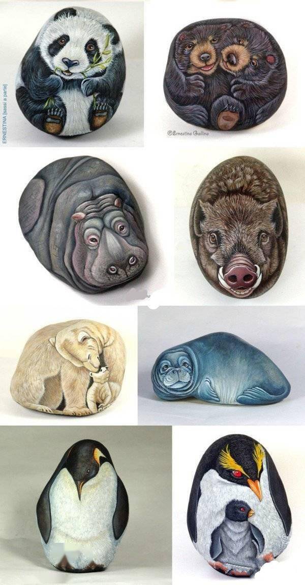 你确定这是石头?难以置信!_gallina_动物_作品