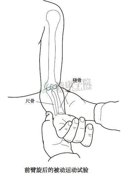 由於旋前肌肉,骨間膜和橈尺遠側關節的張力,正常的終點感覺是突然和