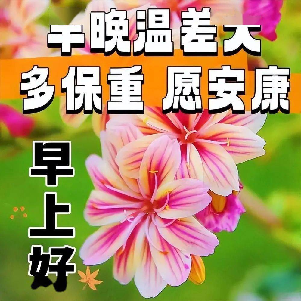 问候特精美图片图片