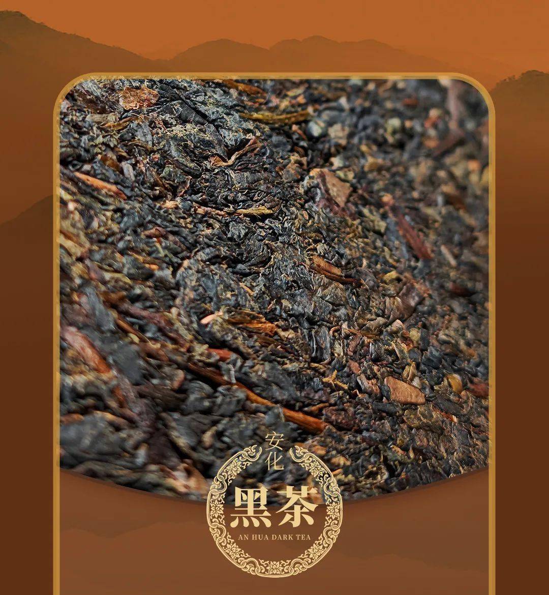 2热忱欢迎广大茶友投稿投稿请发至admin@chinadarktea