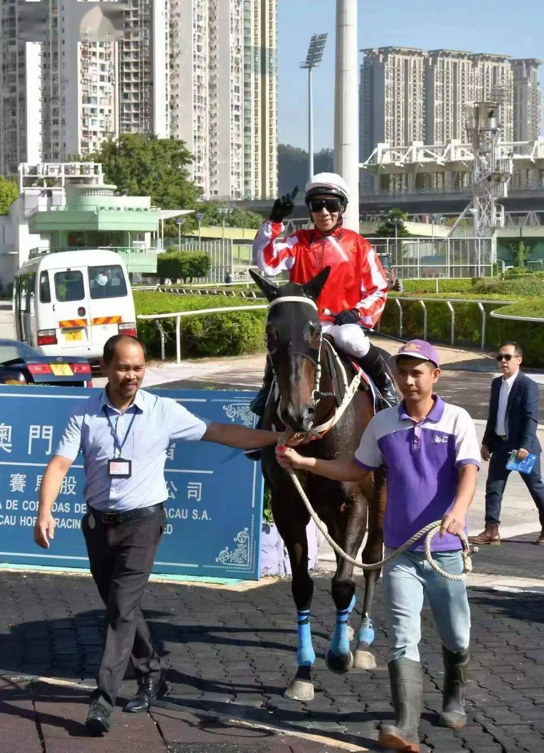 "来澳门","来高兴",其中,"来来来"是一匹高班赛驹,曾经征战香港港澳杯