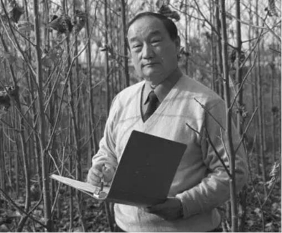 “中国黑杨之父”王明庥院士逝世_南京林业大学_杨树_遗传