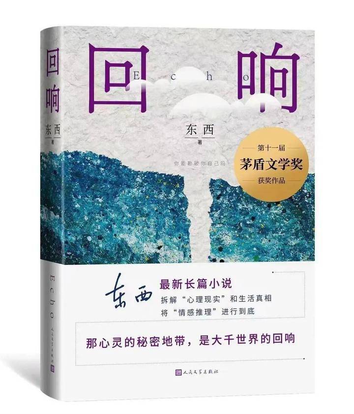 茅奖作家乌镇说 | 东西：《回响》问心，男主角向郁达夫致敬