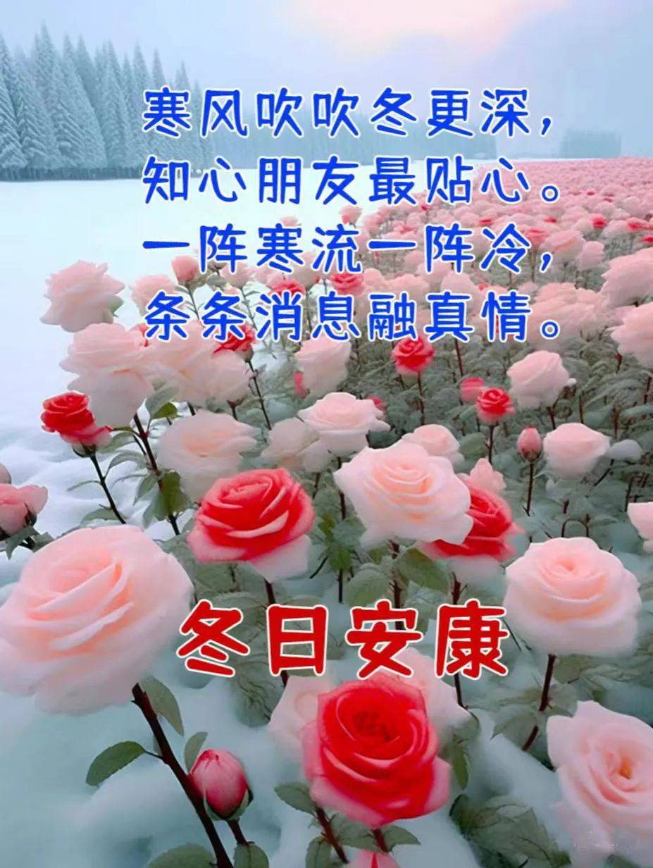 冬季时节天气凉