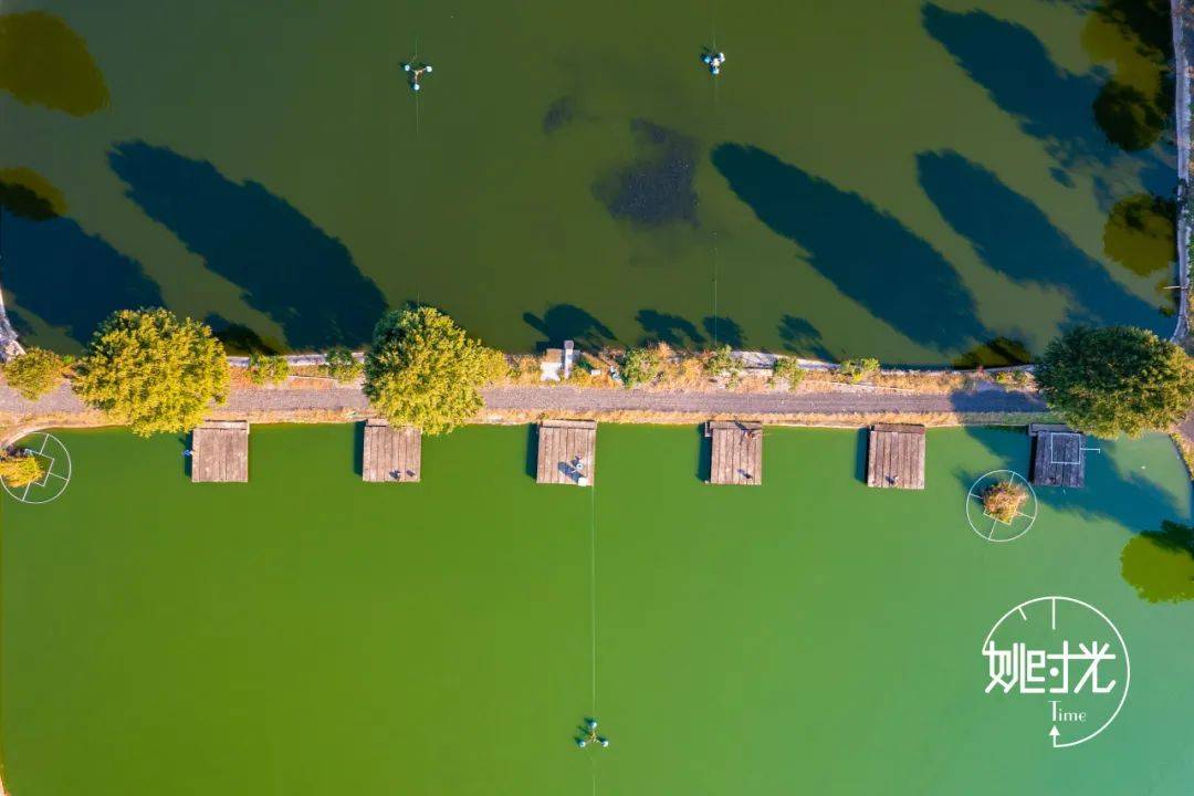 马渚这个人真厉害,竟然做了那么多好事!_应慧慧_大盛_养殖