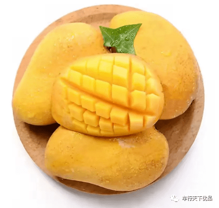 【水果地理】草莓24个常见品种一览，各有哪些优缺点？常见的芒果种类介绍！