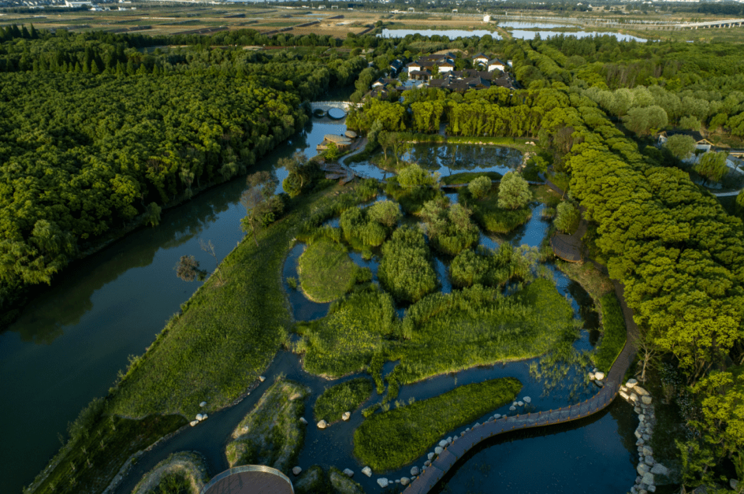 同裡國家溼地公園的前身是肖甸湖森林公園,於2020年1月正式掛牌國家級