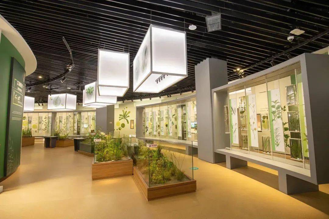 喜讯丨同里湿地科普馆入选第一届长三角科普场馆 "十佳展览"_公园