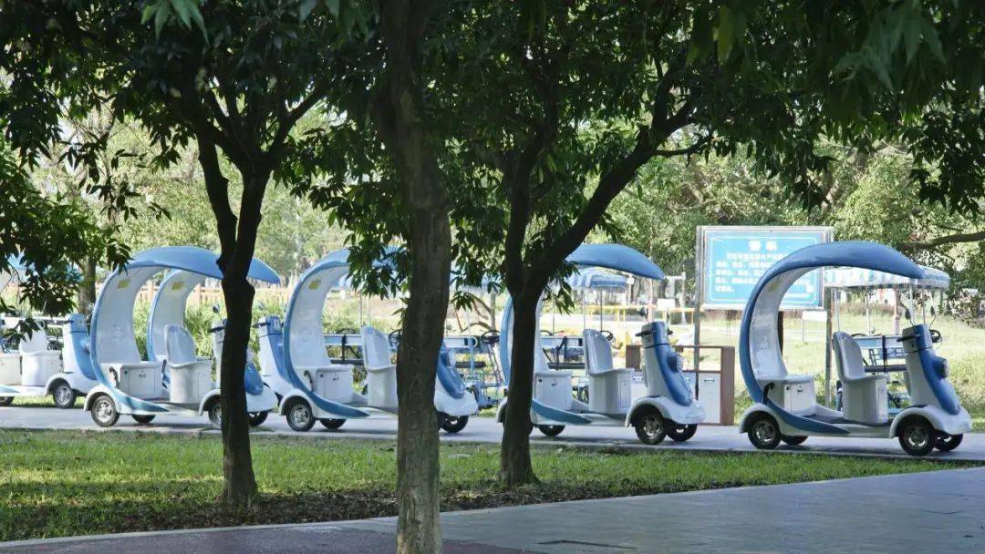 增城人工沙滩变游乐园!_摊位_设施_湖街