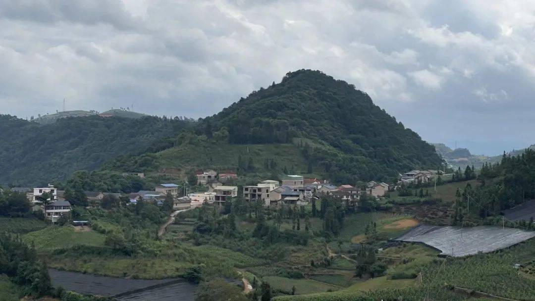 文山这个村的回家路变了!_古木镇_群众_塘村