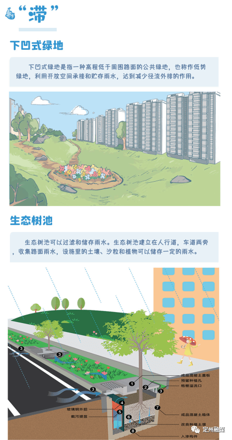 海绵城市 生态节水_鲁丽华_审核_定州