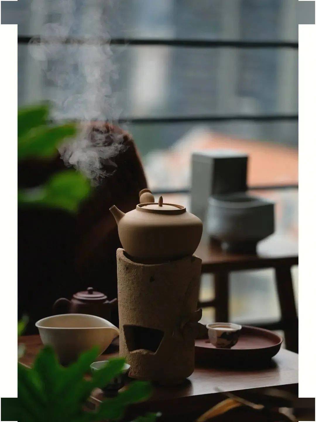 冬来,慢煮老白茶_效果_养生_茶叶