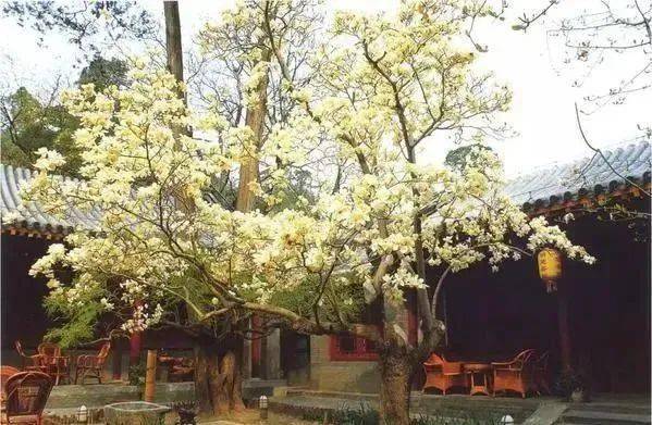 潭水院位于香山,即今香山寺遗址,双清别墅那个位置.