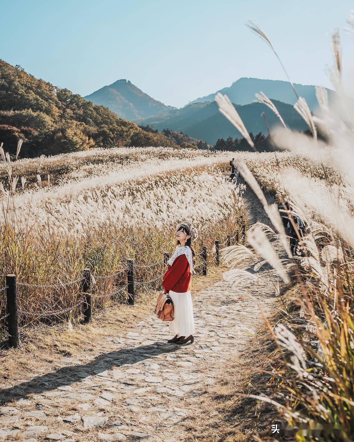 芦苇人像照片,手机摄影技巧6个,必须学一下_道具_小路_思路