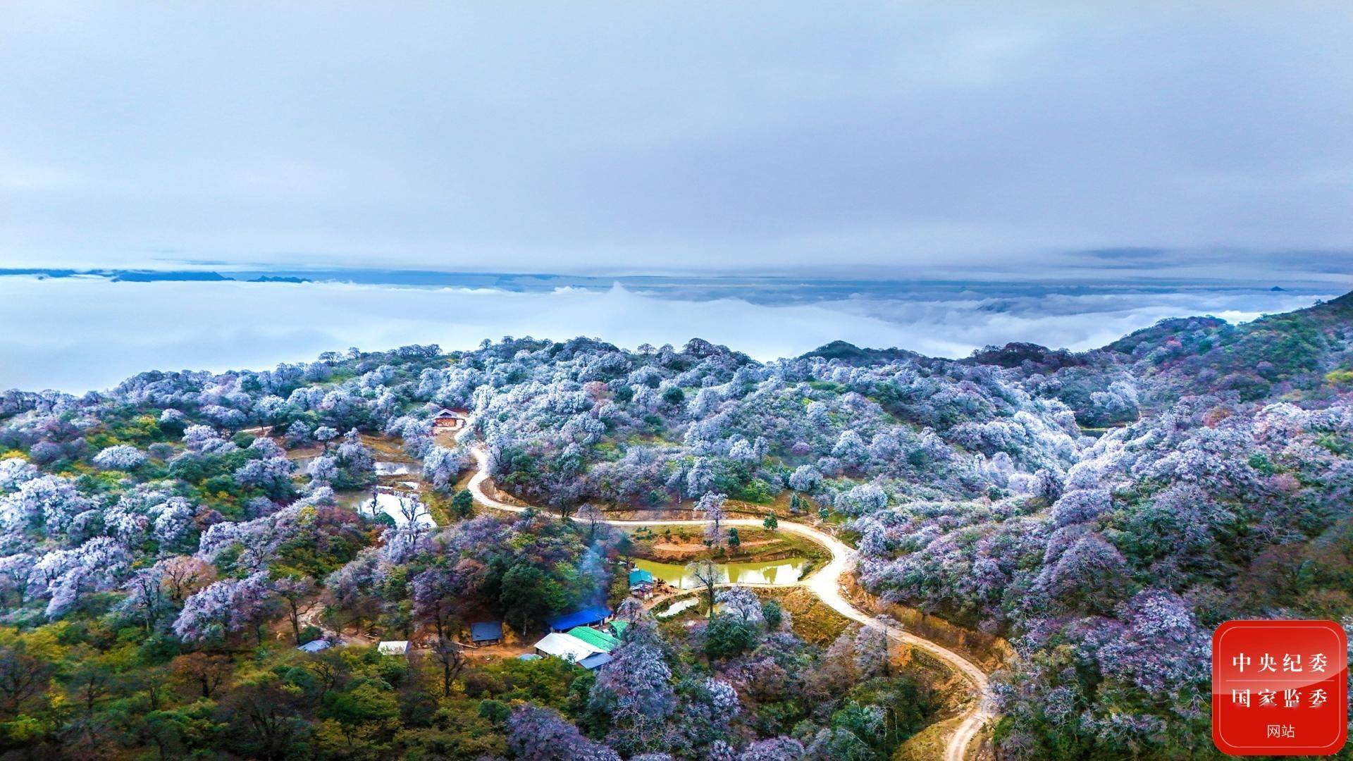 镜头丨小雪至 冬伊始_时节_江西省_全南县