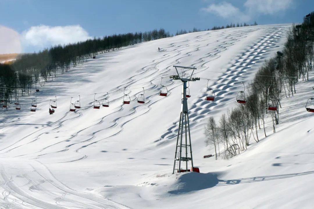 张家口各大滑雪场等你来撒欢儿~