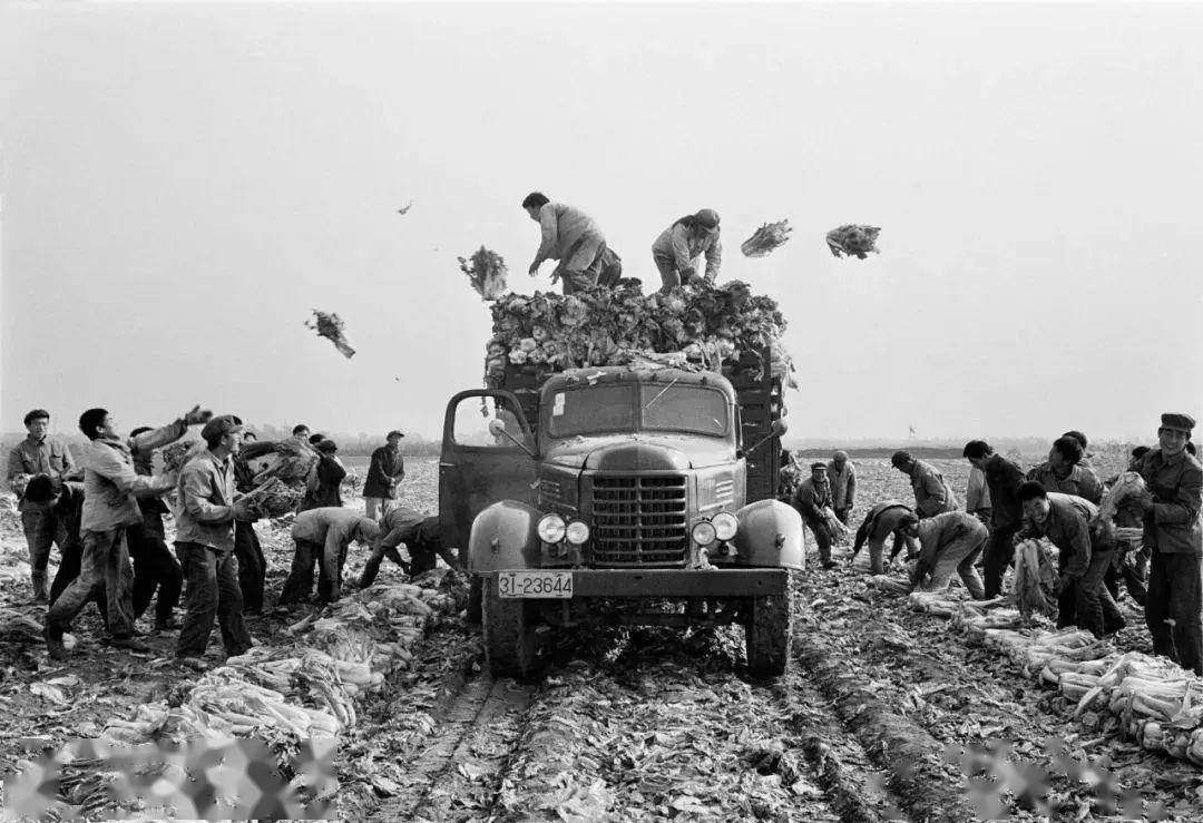 【有艺思】我和我们的父辈,横跨五十年的感动瞬间_照片_时代_刘香