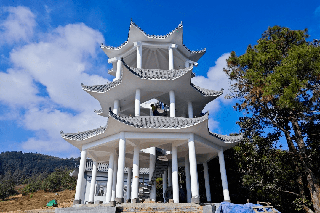 站在这里,瞭望八万亩莽莽林海_前进镇_监测_主体