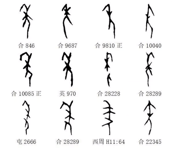 一起學習甲骨文_安陽_官方_六書