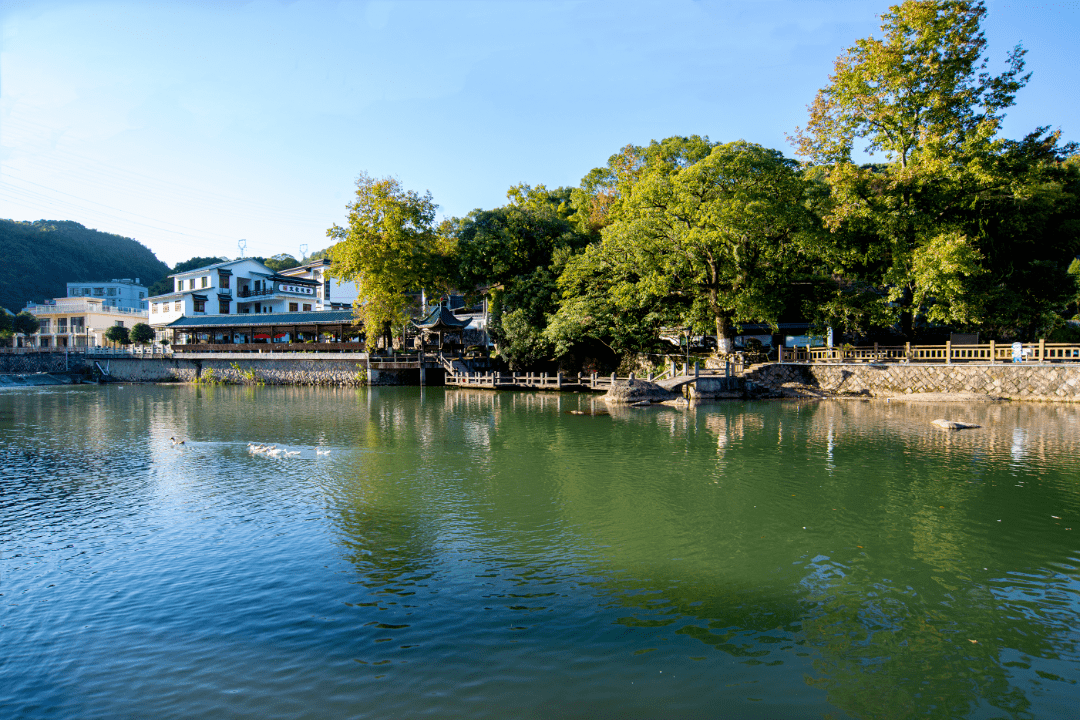 风采丨瓯海区瞿溪街道人大工委:追新逐绿,向美而行,持续擦亮