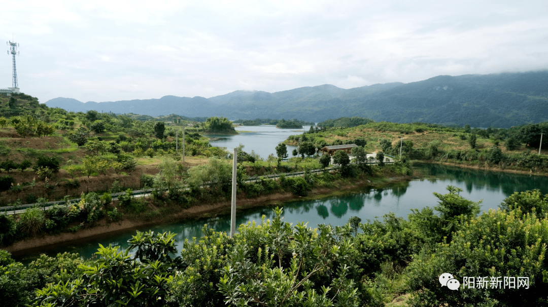 阳新这个村获评全省乡村旅游驿站示范单位_高山村_建设_王英镇