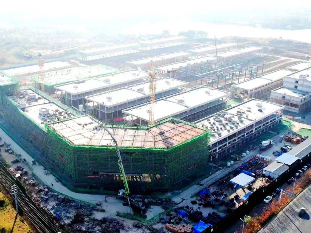 西商动态|安徽滁州市南谯区委副书记,区长王莹一行调研滁州西商农商城