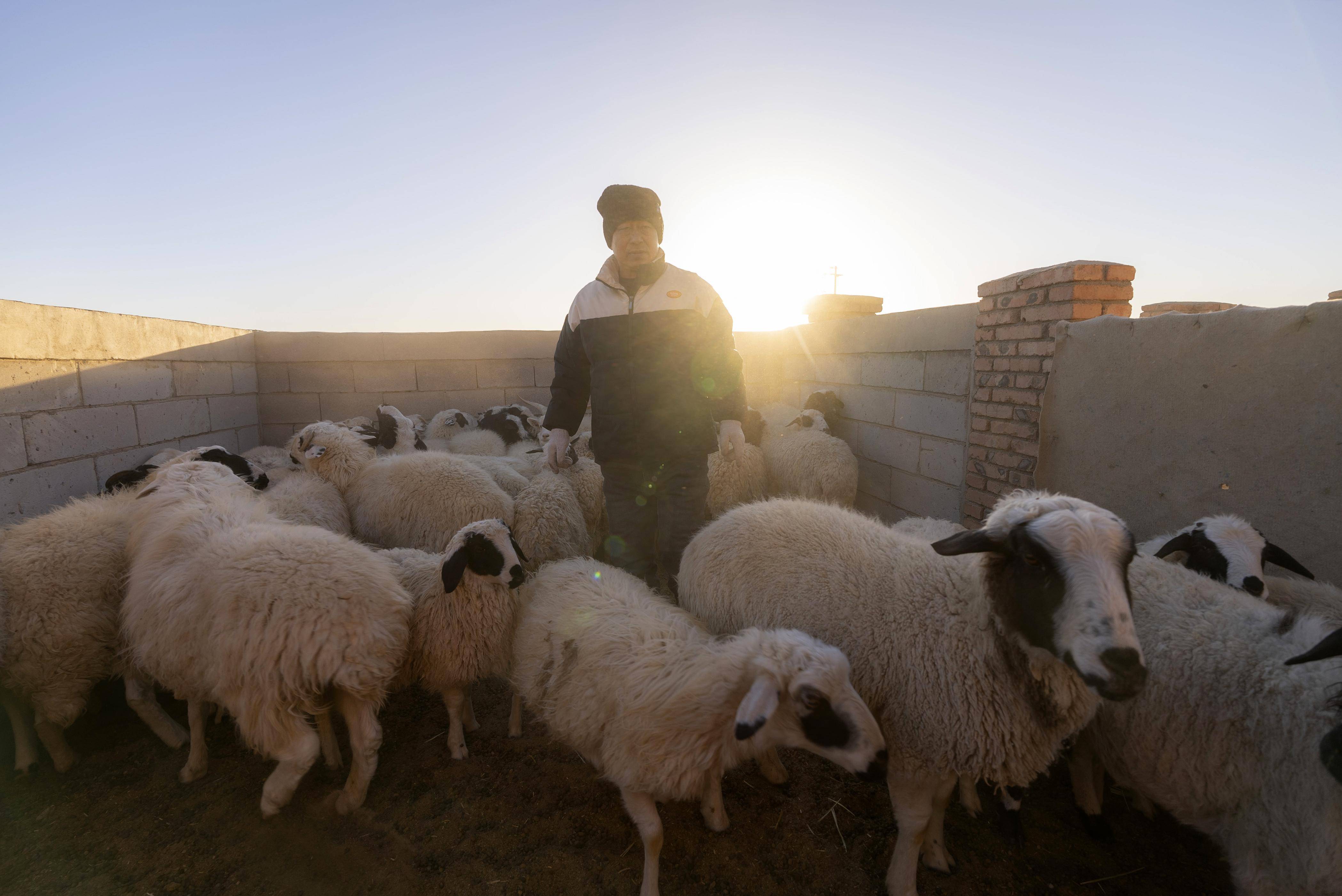 在内蒙古阿拉善左旗乌力吉苏木温都尔毛道嘎查,牧民朝勒门格尔勒在