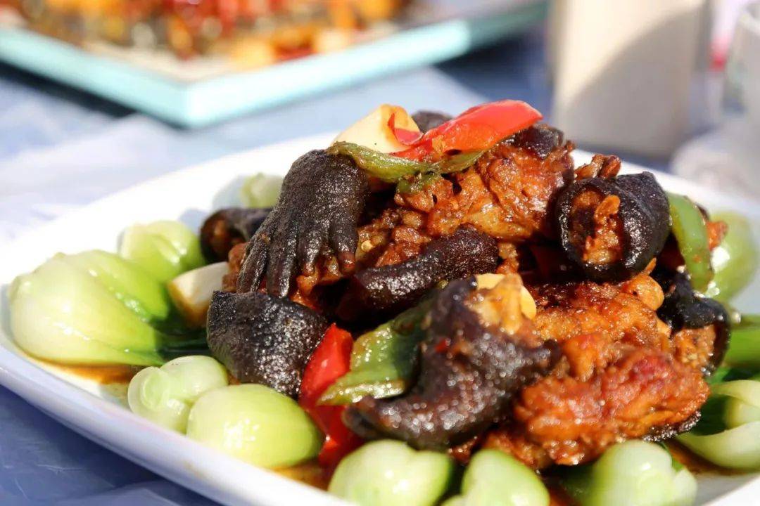 hi"鲵"好,留坝县美食技能大赛暨"留坝味道"大鲵美食文化节让你"烹"然