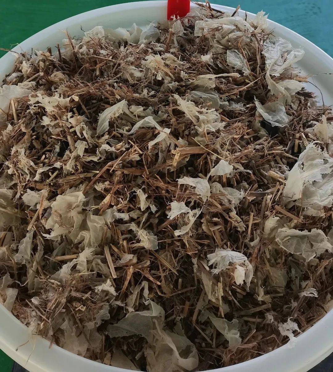 "无水型地膜残膜综合处理再利用生产线,针对新疆缺水