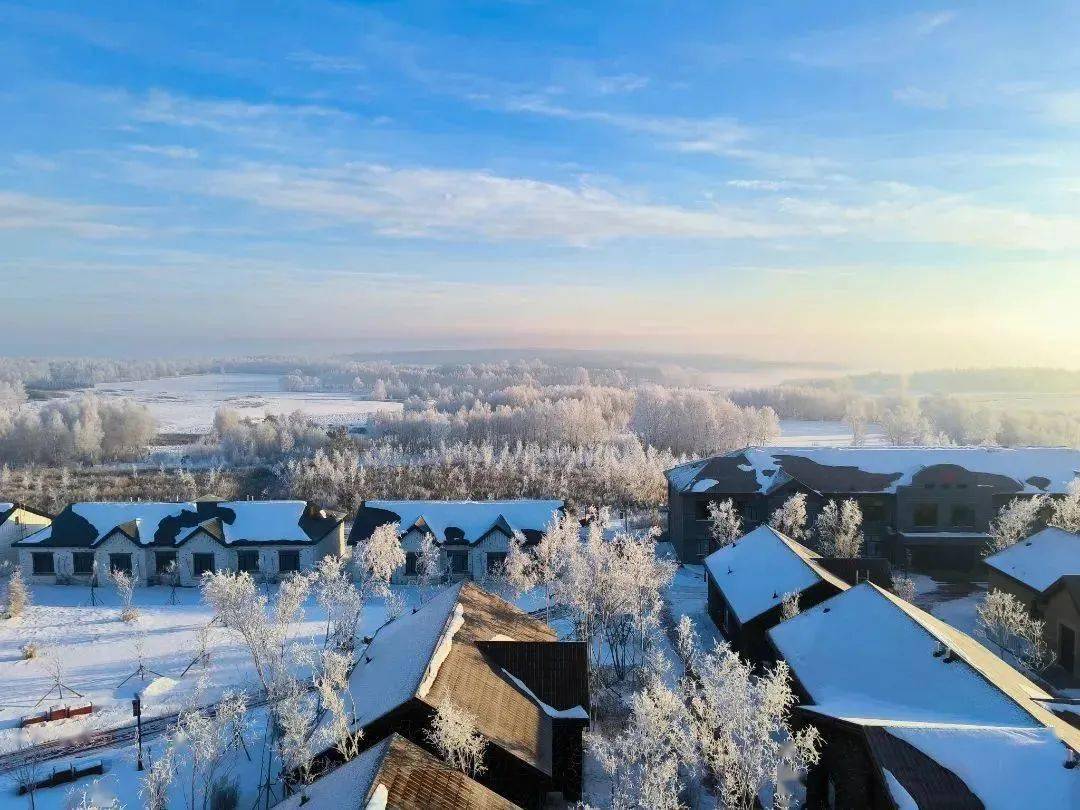【文艺范】黑河朝阳山景区千林雾凇如梦似幻_雪乡_韵味_哈尔滨