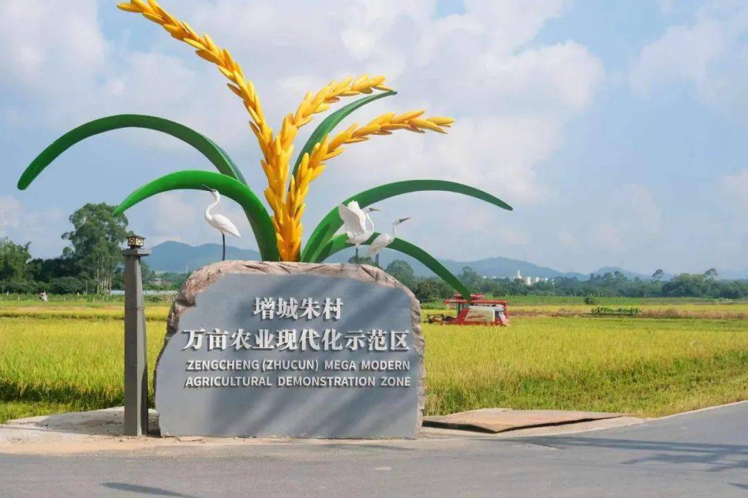 增城幸福田园基地图片