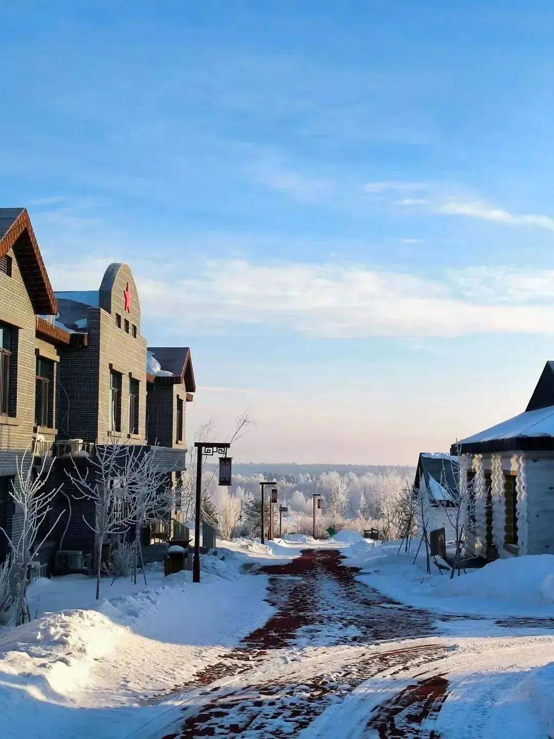 【文艺范】黑河朝阳山景区千林雾凇如梦似幻_雪乡_韵味_哈尔滨