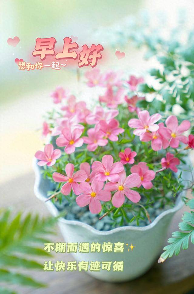26周末早上好祝福 早安精美图片 清晨早上好早安祝福图片_平安_千辛万