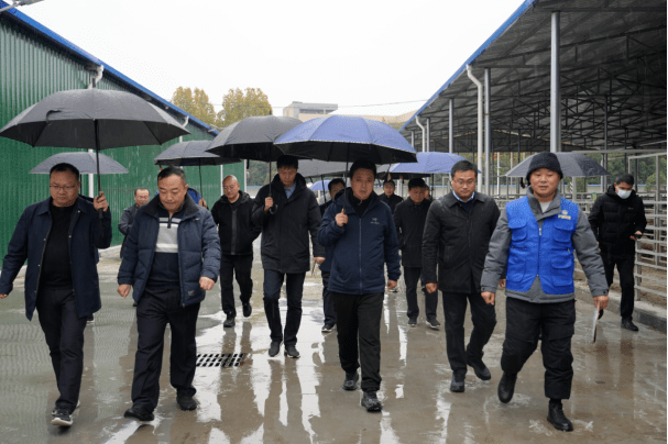 宛城区委书记樊牛带队调研污染防治攻坚工作_相关_问题_企业