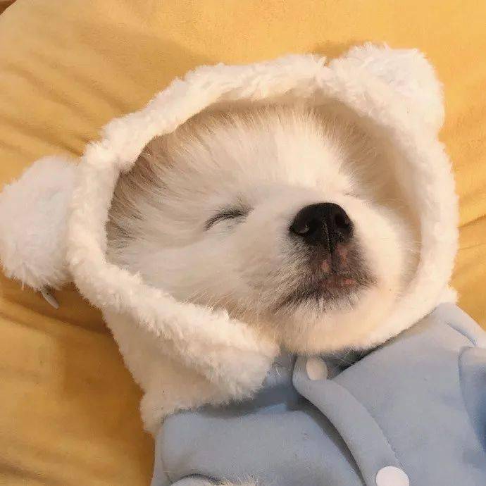 头像| 363436373039小众头像我超喜欢! 676767