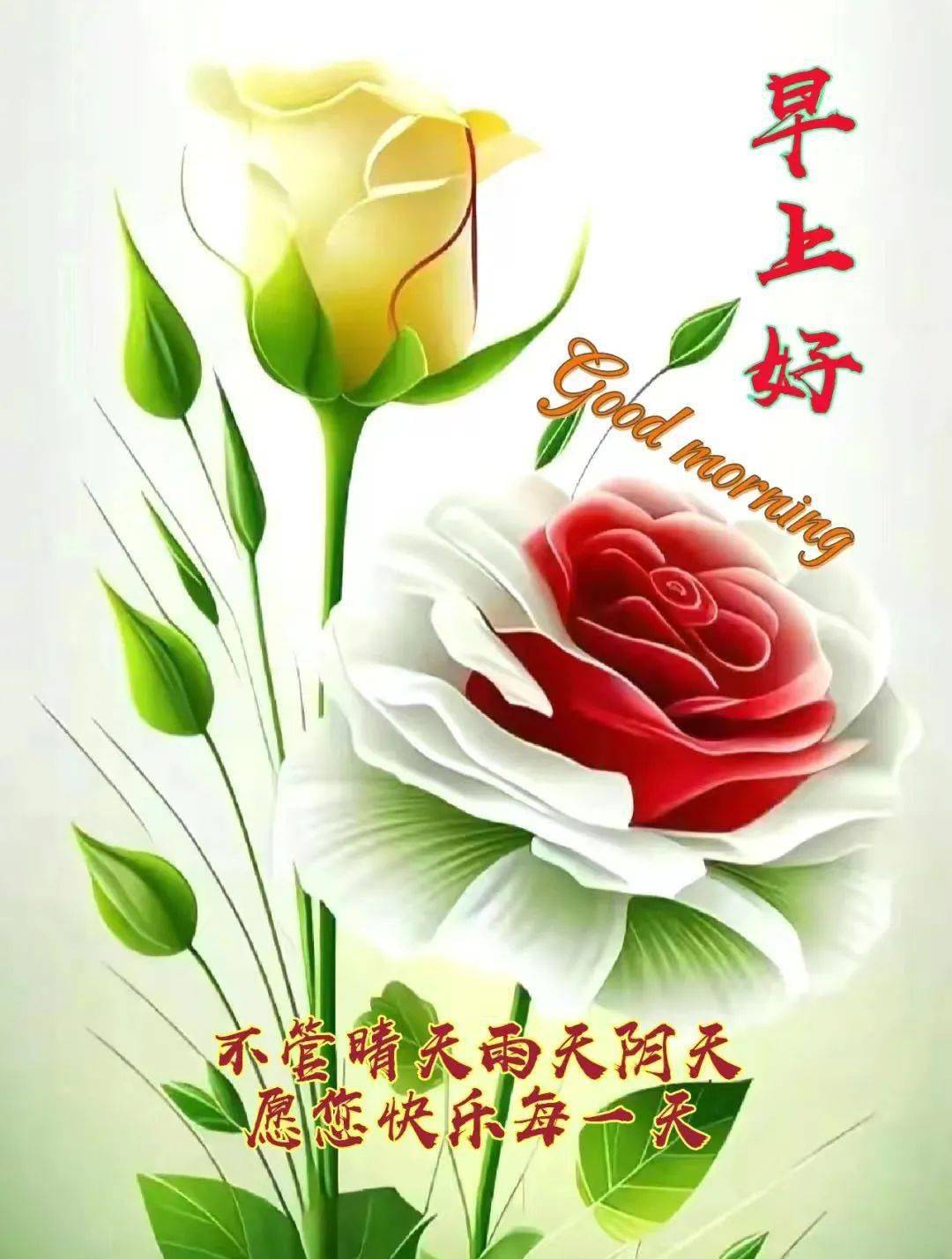 问候_祝福_李小托