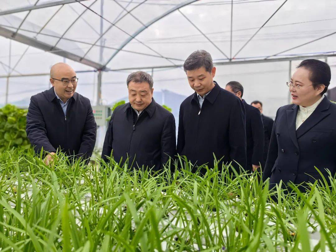 市委书记武文罡来汉阴县调研县域经济发展情况并召开座谈会_建设_项目