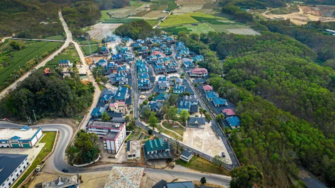 群众_发展_勐龙镇