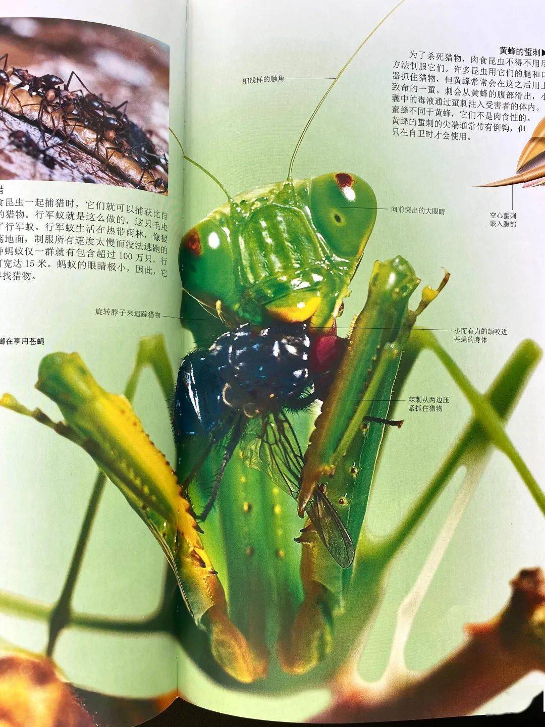 三維復原圖,示意圖,剖面圖等科學繪畫,展現每一處無法用鏡頭記錄的