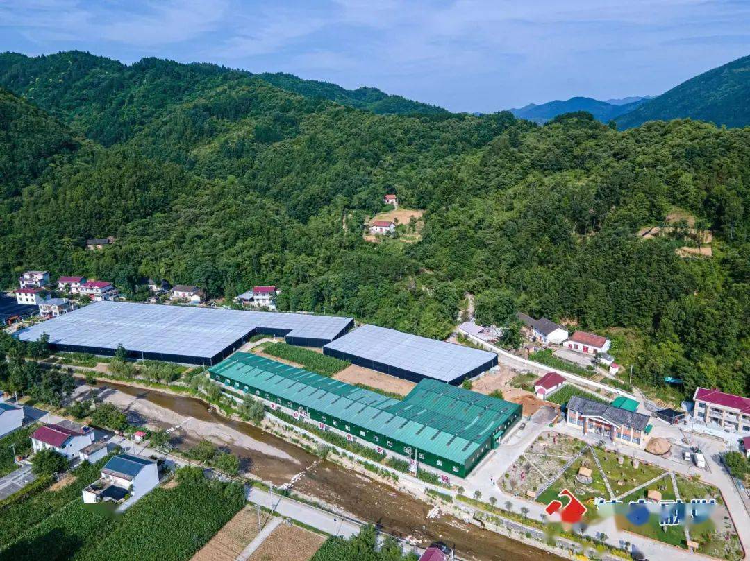 倾力帮扶 苏陕协作在大坪镇开花结果_建设_群众_镇安县