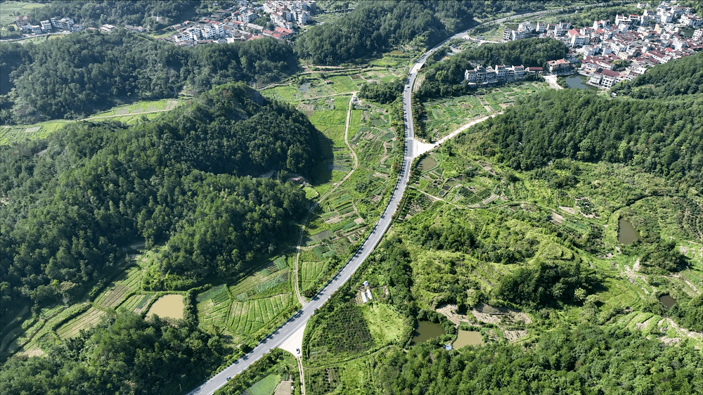 你去過幾條?_旅遊_東陽_佛手