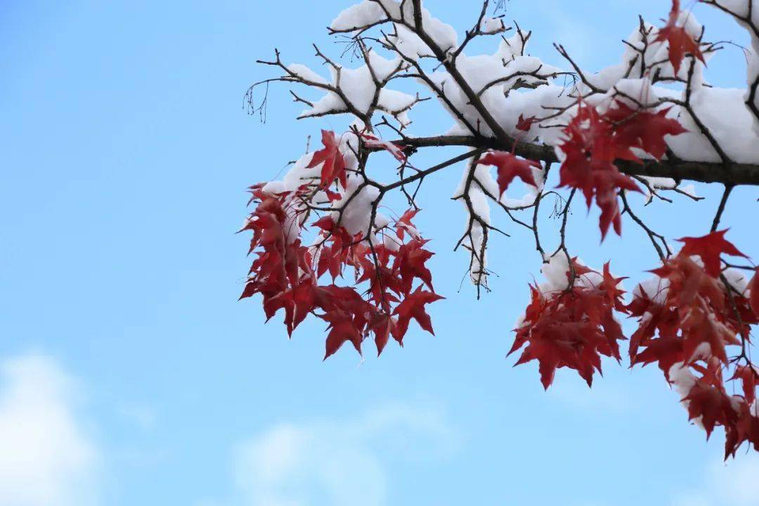 出发,玩雪去!