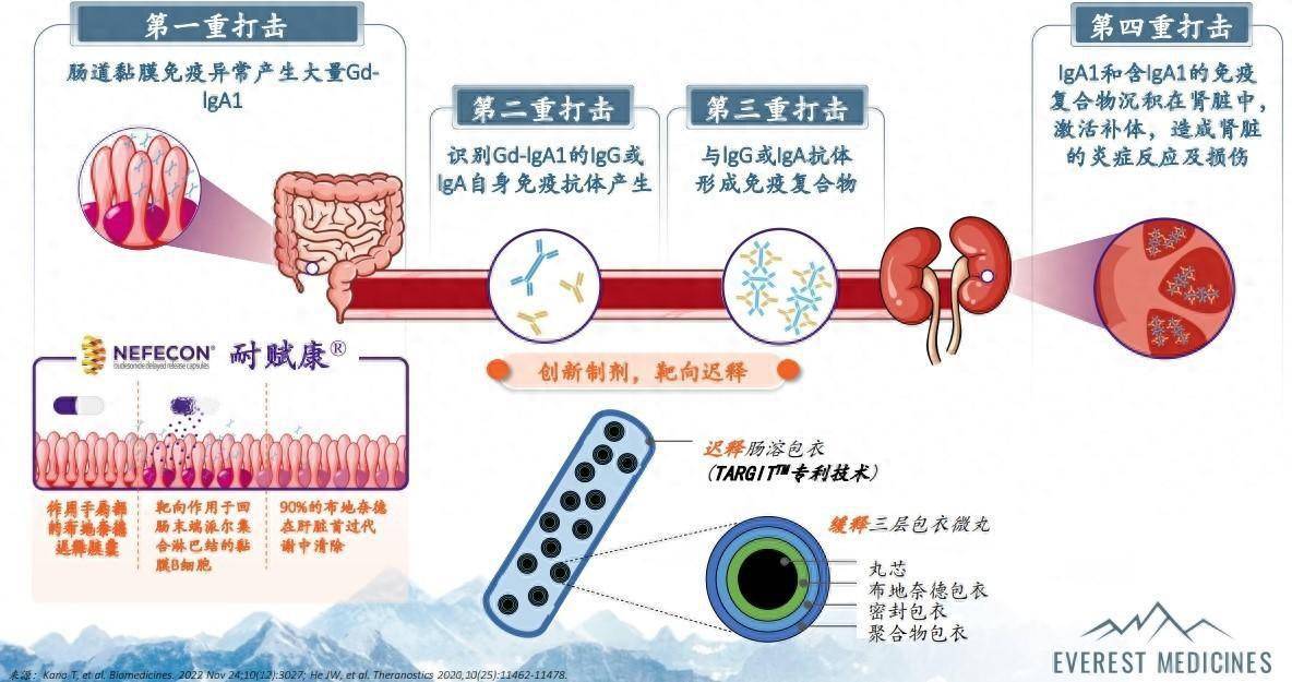 全球首个对因治疗的iga肾病药物在华获批 云顶新耀迎来收获之年_进展