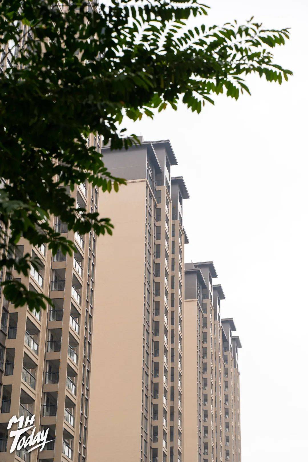 品质交付力,棉湖1号这场交付,业主直呼买对了!_服务_仪式_实力