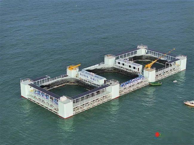 象山海鲜批发：把握趋势，畅享美味盛宴